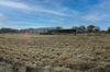 5124 Rifle Range Rd photo